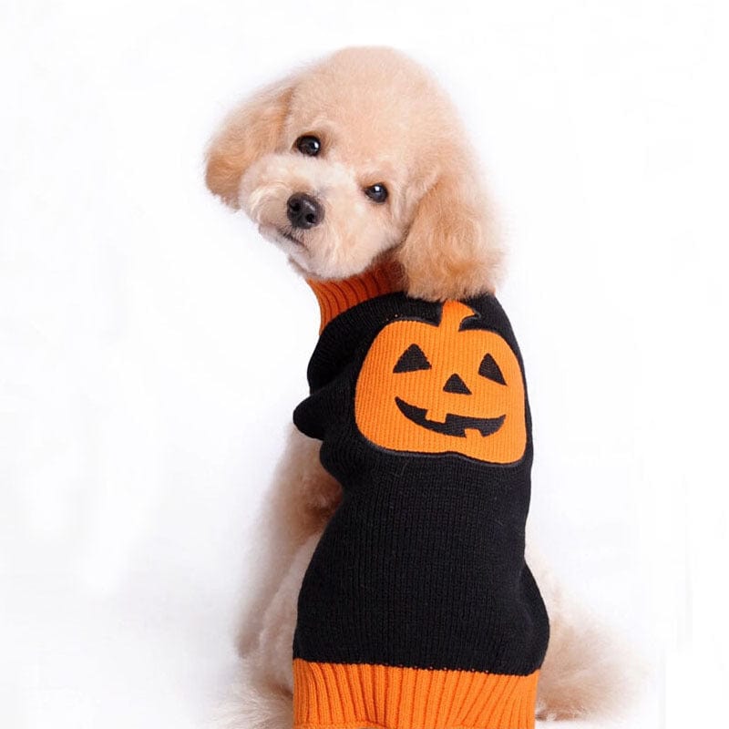 Maglione lavorato a maglia con Zucca di Halloween. Abbigliamento chic di lusso per pets.