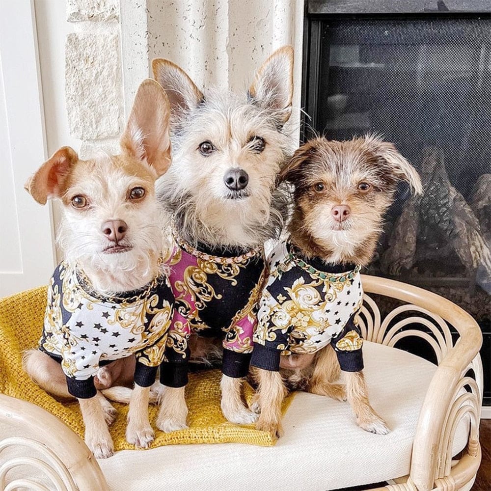 Maglia fashion per i principi di casa. Abbigliamento chic di lusso per cani, gatti e animali domestici.