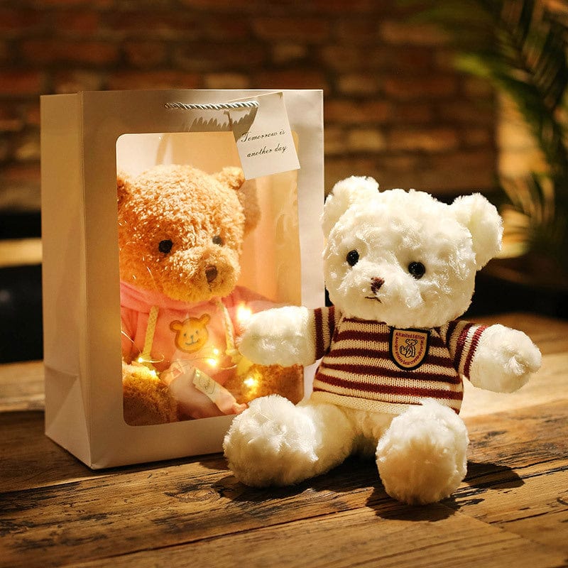 New dress Tedi Panda doll plush toy female birthday gift large hug bear cloth doll with gift box