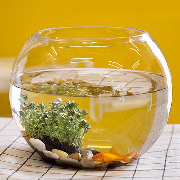 Fish tank transparent glass office desk creative living room round turtle tank small turtle mini desktop goldfish small fish tank