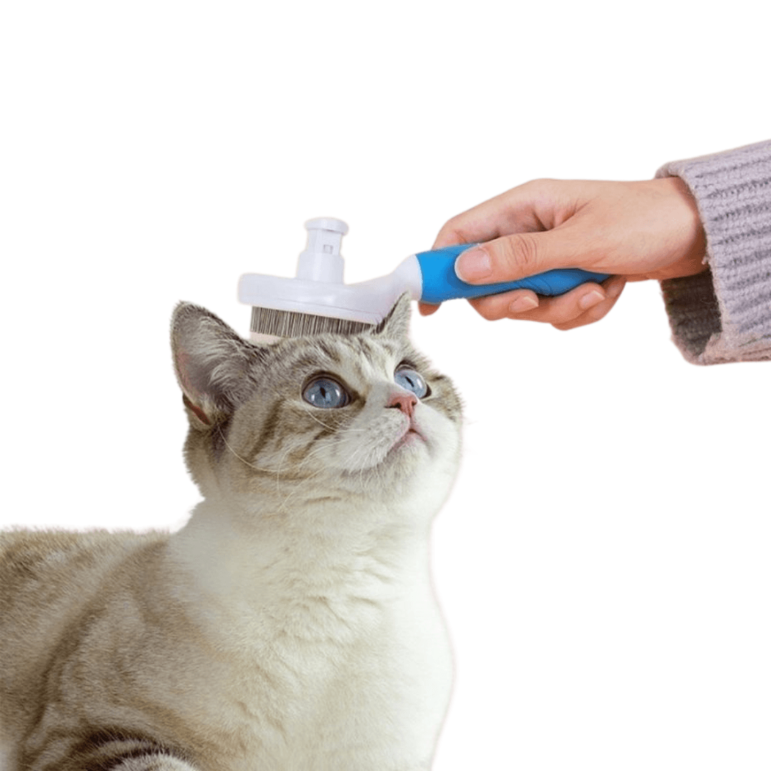 Escova Removedora de Pelos para Cães E Gatos