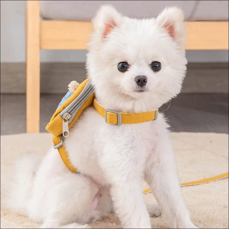 Pet Cute Dog Cat Harness with backpack Medium small Lead
