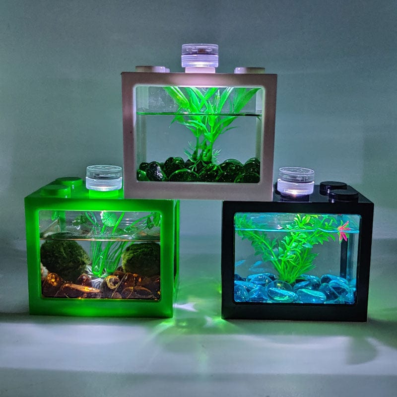 Wholesale Office Field Fish Cylinder Plastic Turtle Cylinder Living Room Home Small Desktop Acrylic Transparent Ecological Aquarium