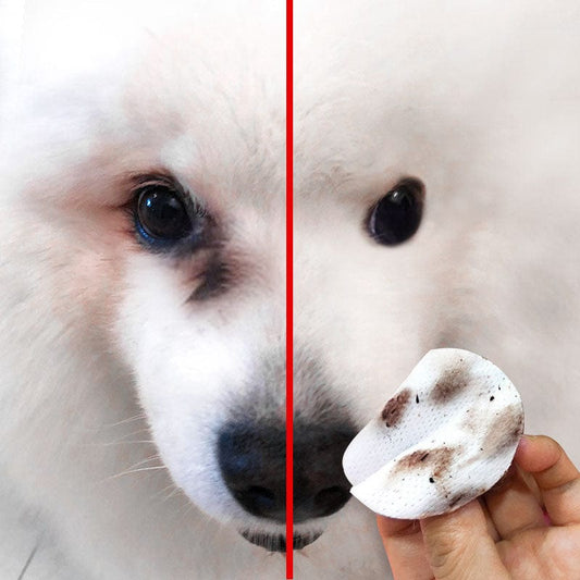Pet eye wipes dog than panda Midamoyed pet eye eyelid cleaning supplies tears wiping