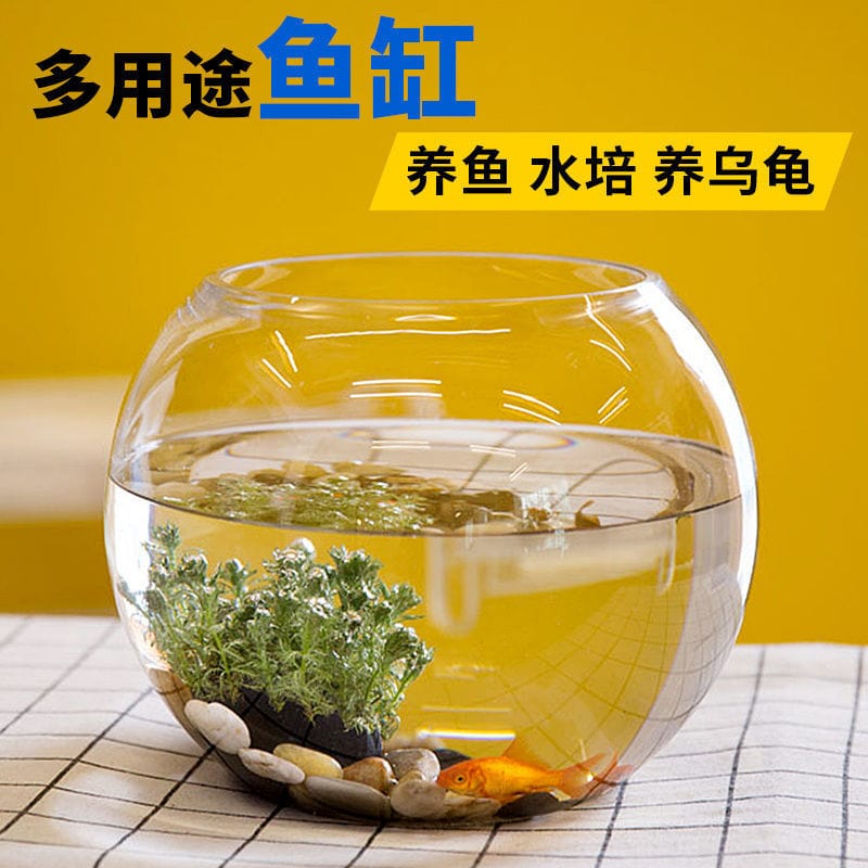 Fish tank transparent glass office desk creative living room round turtle tank small turtle mini desktop goldfish small fish tank