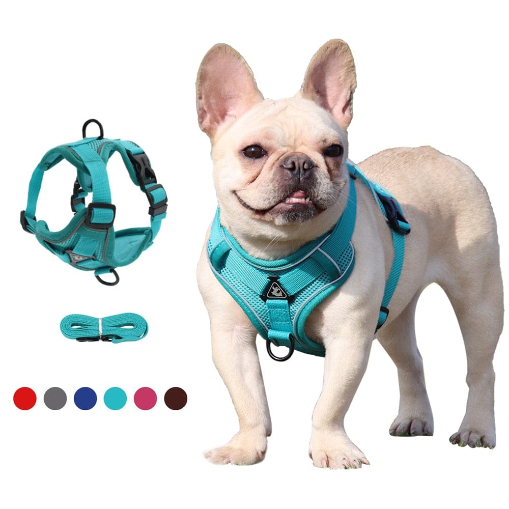 Adjustable Reflective Traction Leash Set