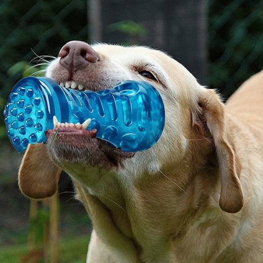 Chew-n-Brush dog toothbrush toy